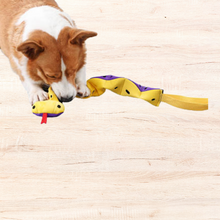 Load image into Gallery viewer, Snake Snuffle Toy
