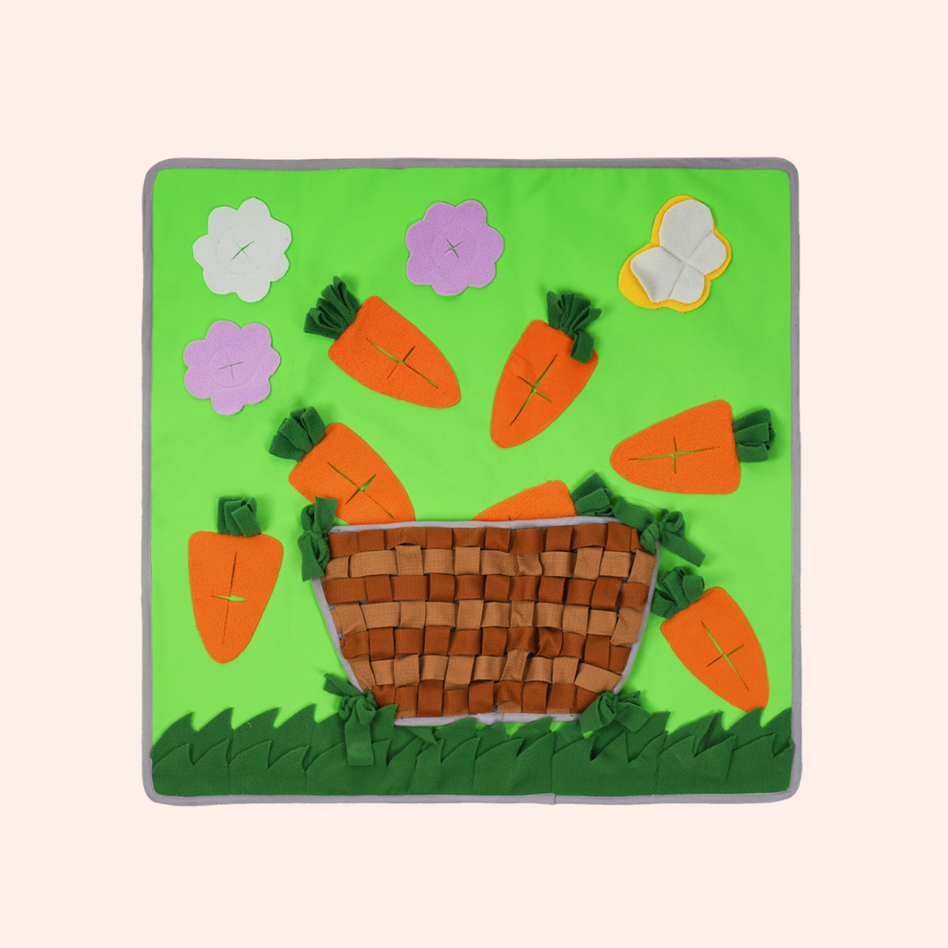 Carrot in a basket Snuffle Mat