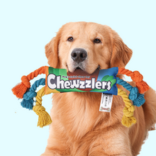 Load image into Gallery viewer, Chewzzler Candy Rope Toy
