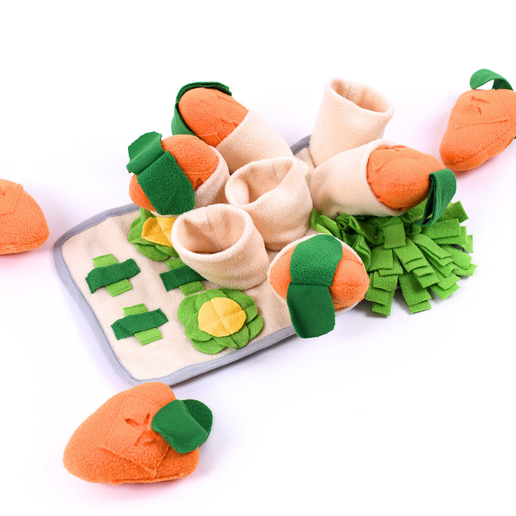 Sniff-n-Seek Carrot Snuffle Toy