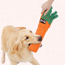 Load image into Gallery viewer, Carrot Snuffle Chew Toy
