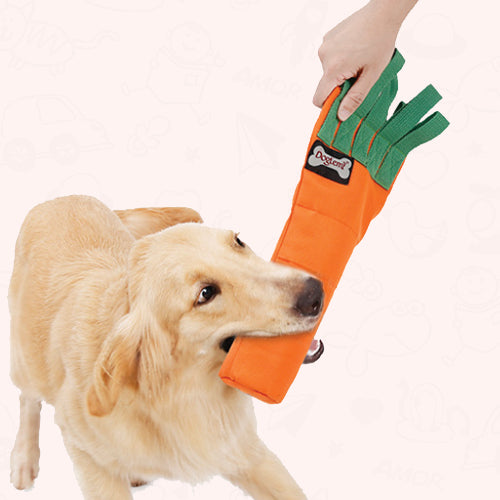 Carrot Snuffle Chew Toy