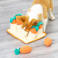 Load image into Gallery viewer, Carrot Farm Snuffle Toy

