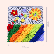 Load image into Gallery viewer, Dotty Puzzle Snuffle Mat
